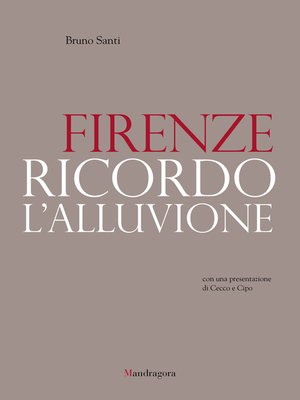 cover image of Firenze. Ricordo l'alluvione